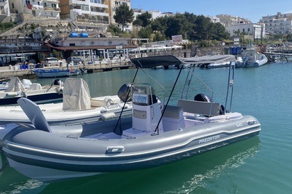Italboats Predator 540 40 cv Suzuki 4 tempi