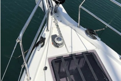 Sun Odyssey 440 2019