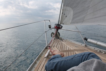 Bizzosa sail experiences