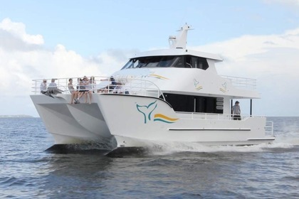 Custom Catamaran 18mt