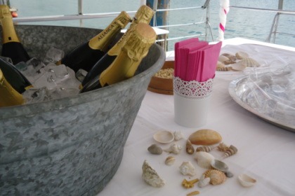 Motor catamaran Puma