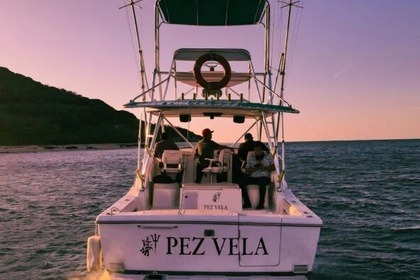 Luhrs 34 Sportfisher