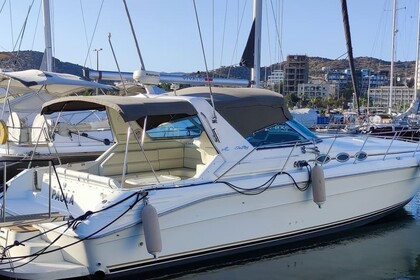 Charter Motorboat Sea Ray 45 Limassol
